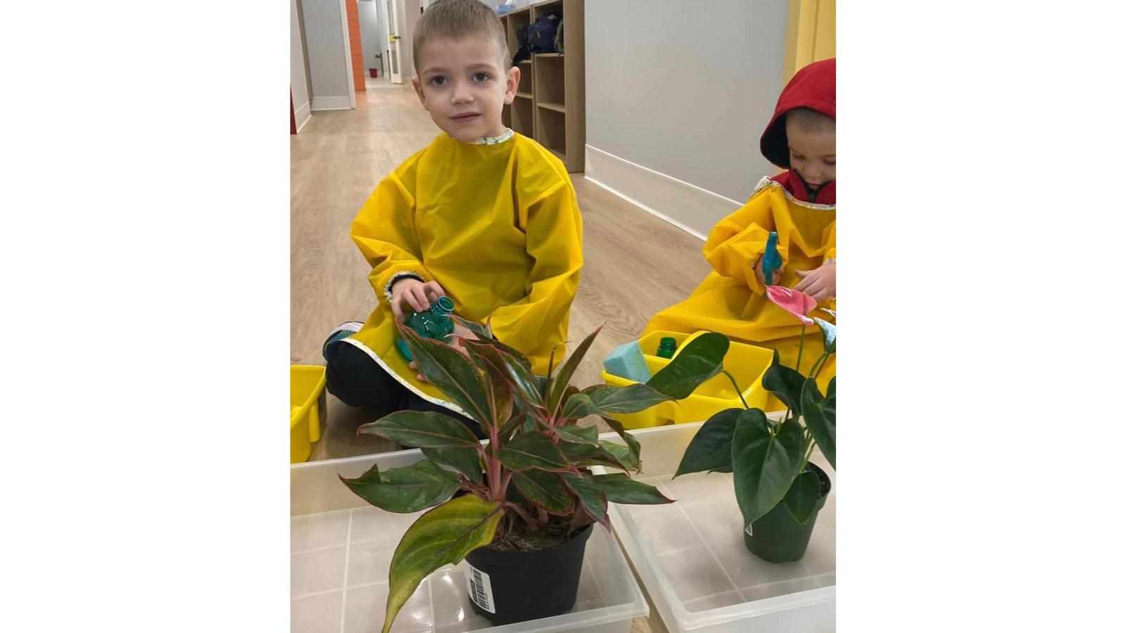 How Can a Certified Daycare Provider Support Your Child’s Growth and Learning?