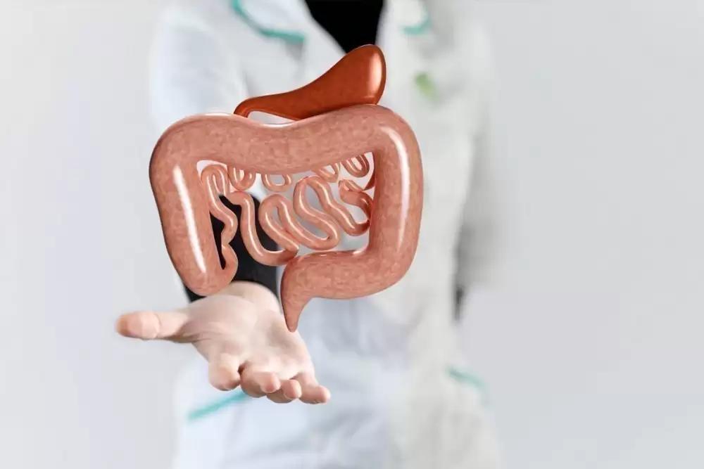 Endoscopy Explained by the Gastroenterology Specialist Dubai