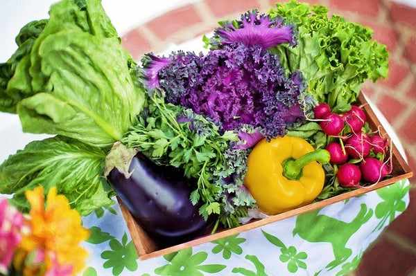 Pregnancy Super Foods by Lovemere