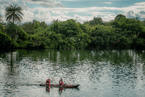 Top Team Building Activities at Area 83 for High-Performing Teams