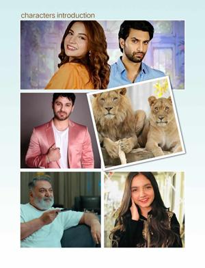 Characters introduction