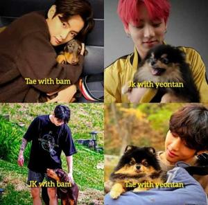 Pretty little babies