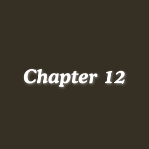12. The Hidden Girl