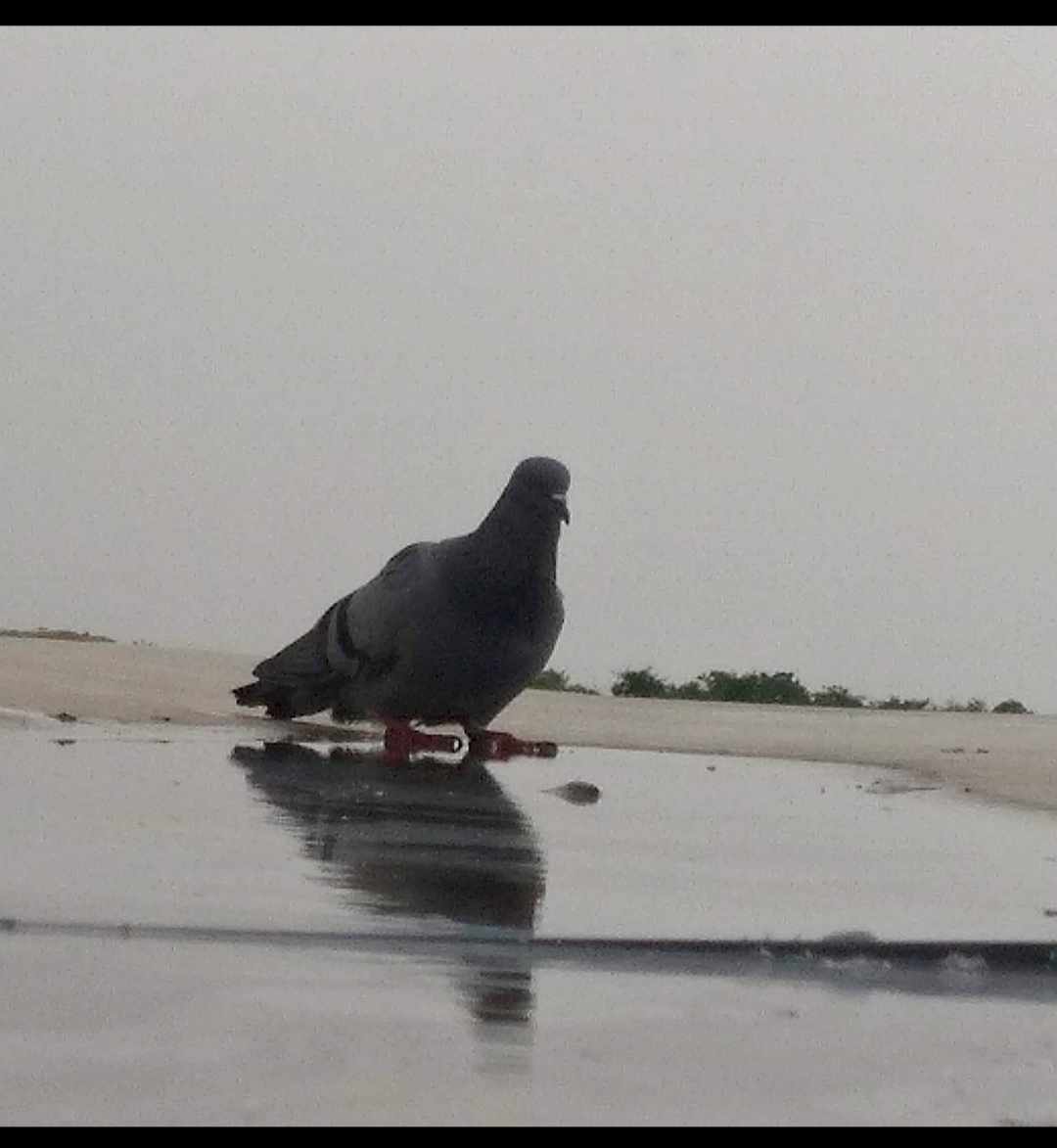 Raindrops aren't ocean