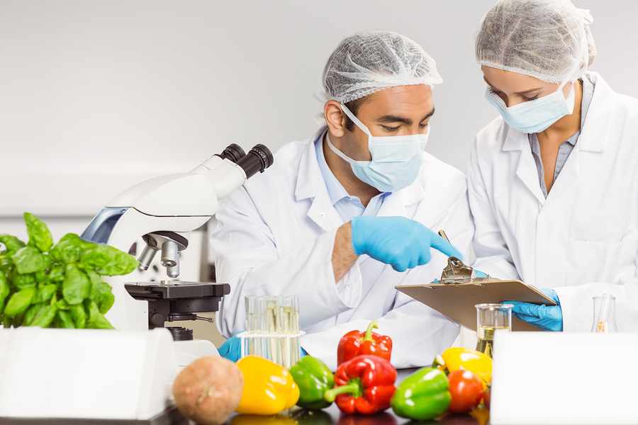 Food Safety Course Level 3