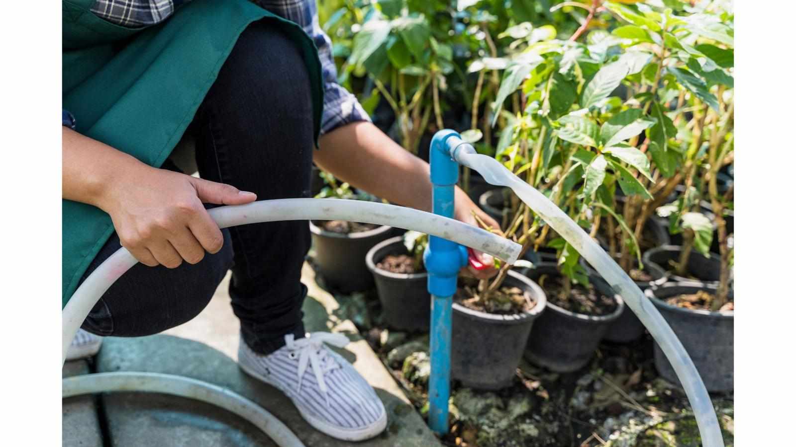 How Do Landscapers Ensure Even Water Distribution During Sprinkler Installation?