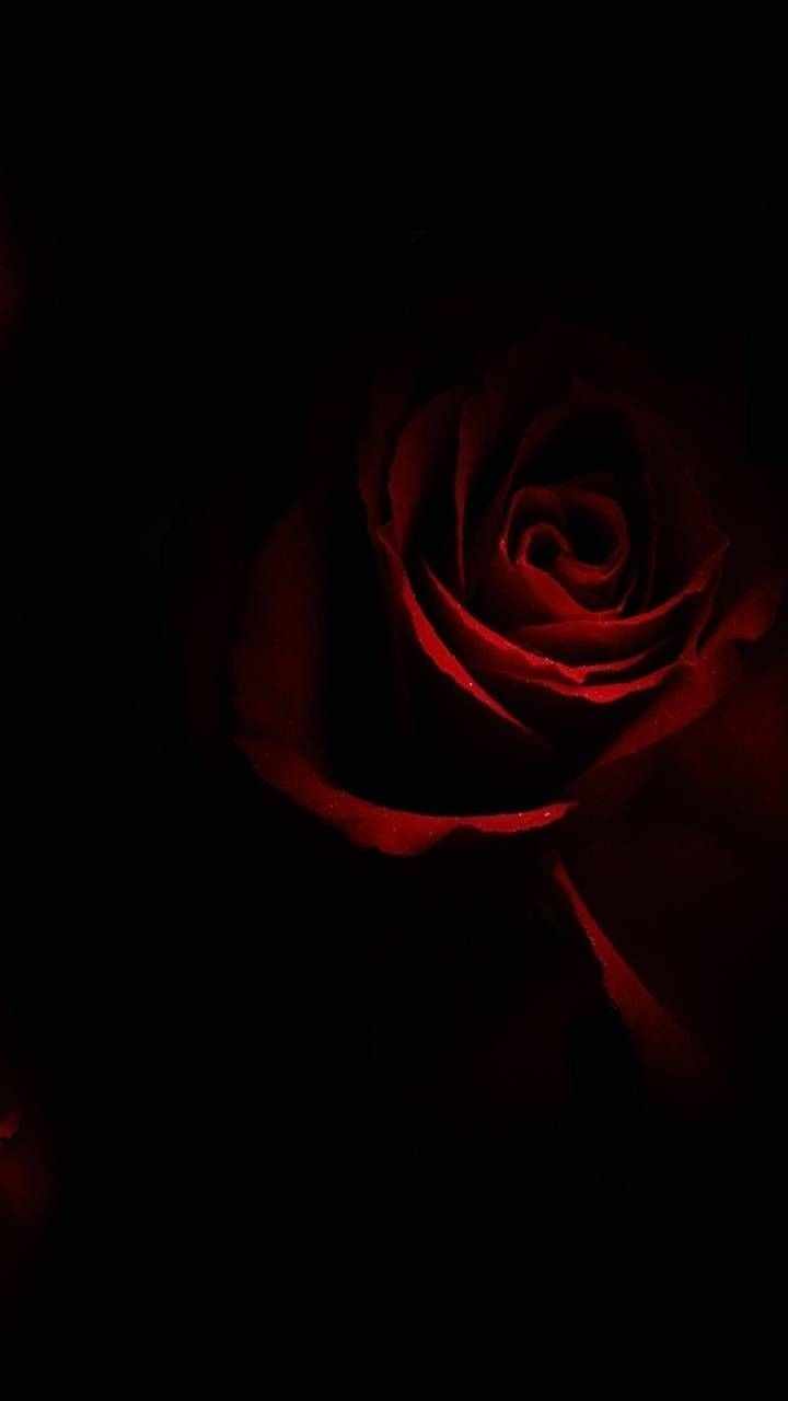 Chapter 37