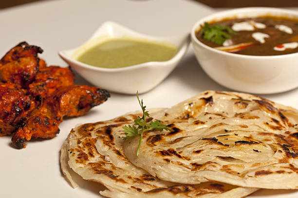 Hot and spicy butter Paneer Malsala. Paratha with paneer masala and chicken kebab. north indian best foods hotel stock pictures, royalty-free photos & images