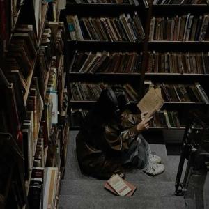 fictional lover ❤️ logo