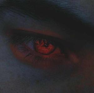 Chapter-12 Water and Ash .