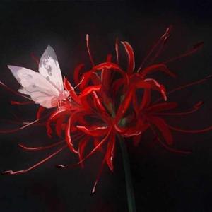 Chapter-38 Neither a miracle,nor mercy.