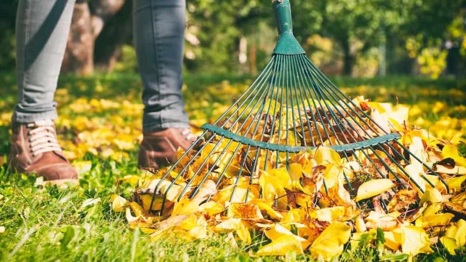 The Strategic Value of Fall Cleanup Landscaping Services in 2025