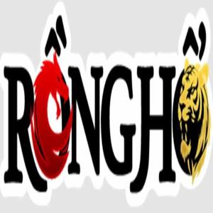 RONGH O99 logo