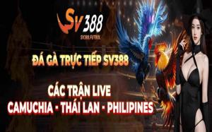 SV388