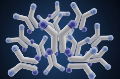 Advantages of Using Purified Polyclonal Antibodies for Reliable Component X Analysis