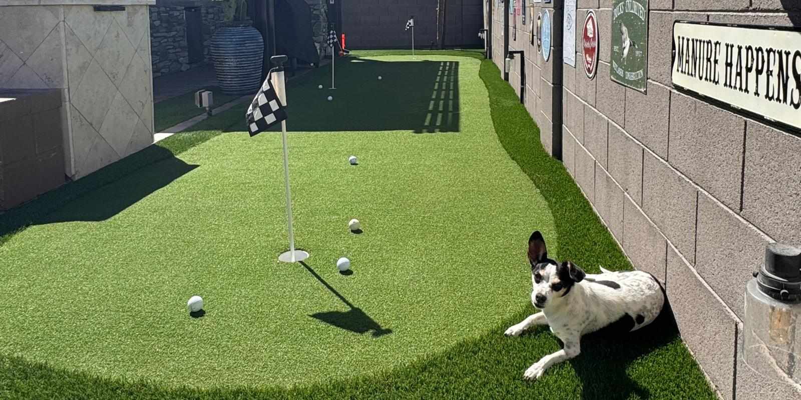 Why Pet Turf Installation in Arizona Is the Smart Choice for Pet Owners in 2026?