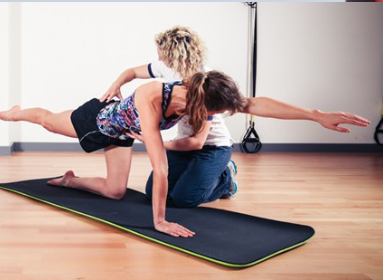 Chiropractor Harlem NY Wellness Services for Families and Active Individuals