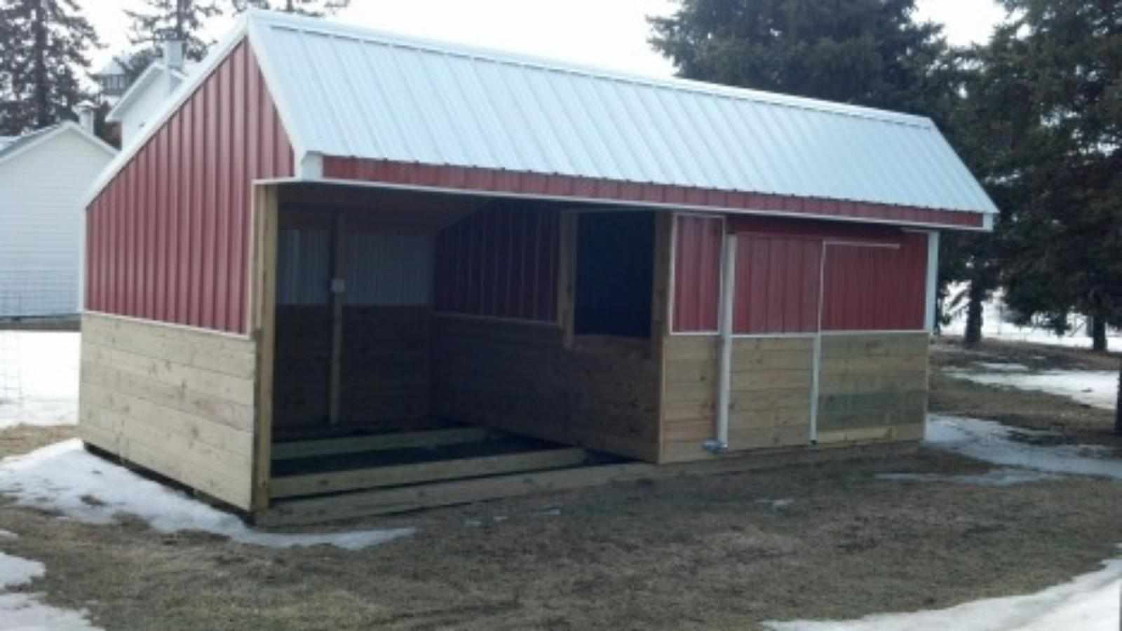 Simple Upgrades That Make Horse Shelter Sheds More Comfortable for Horses