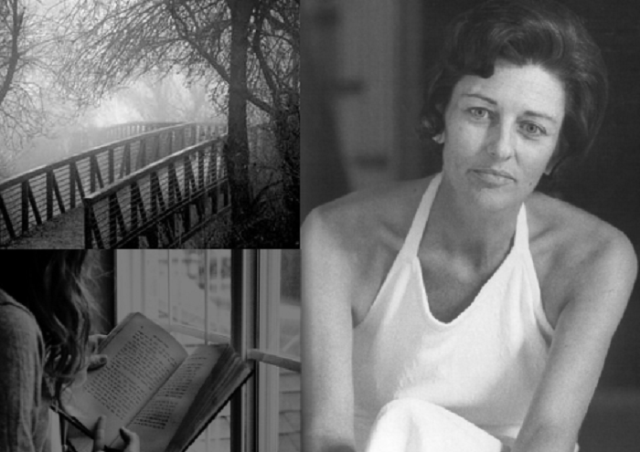 How Did Anne Sexton Confront Social Expectations Through Poetry?