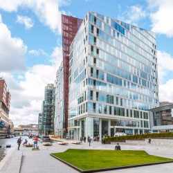 Prestige Forest edge