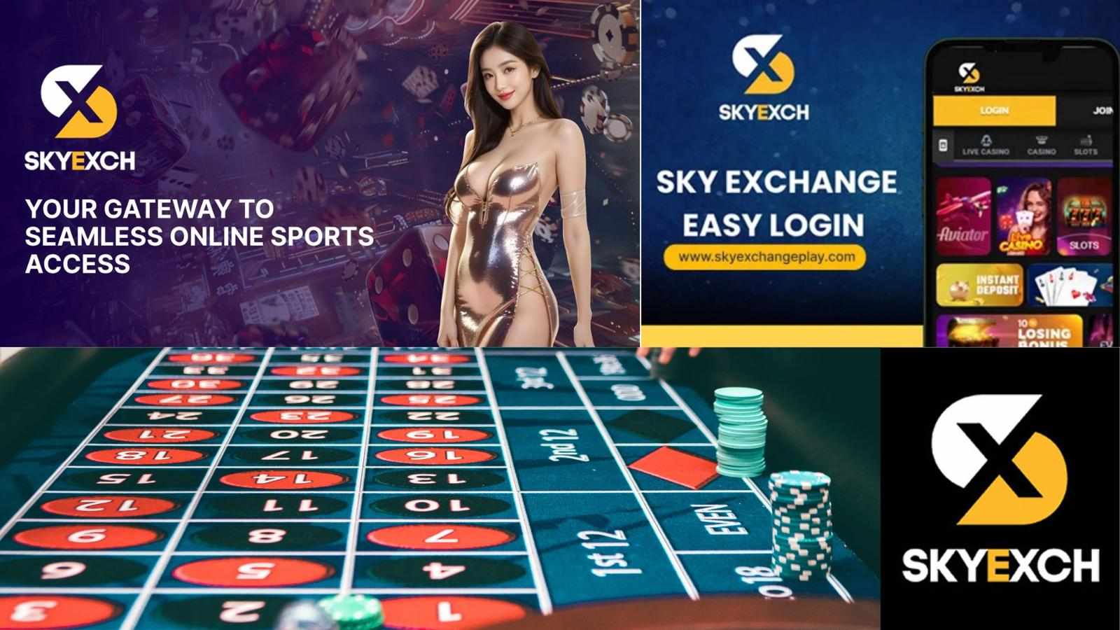 Sky Exchange: The Present and Future of the Online Gaming Industry