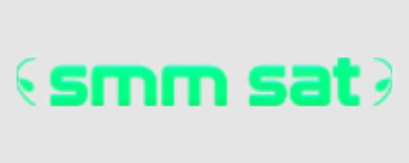 Entrega Rapida SMM Panel: Domina las Redes al Instante