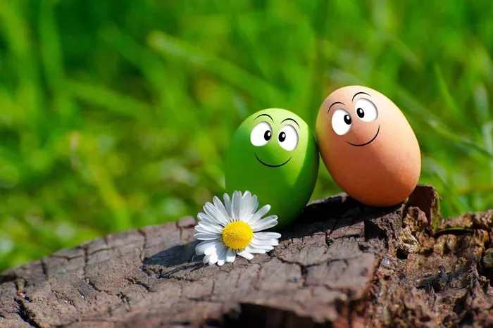 50 Egg Jokes You Can Crack To Get Egg-Cited Laughter