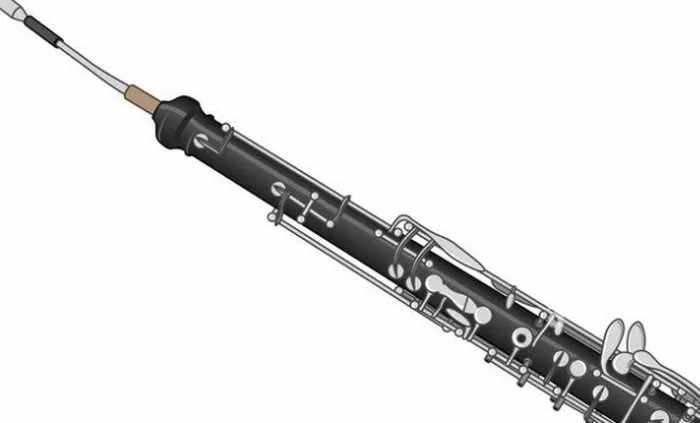 5 Best English Horn: Expert Reviews