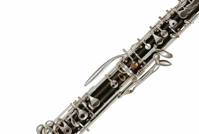 What Is the Cousin of the English Horn? An In-Depth Exploration