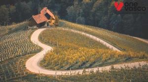 Meeting Slovenia Visa Photo Requirements – Essential Dos and Don’ts