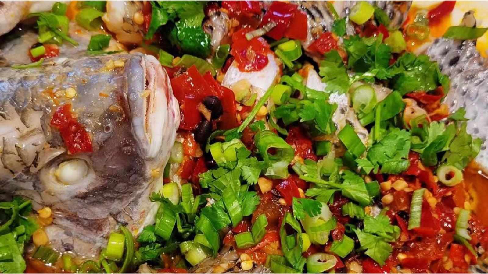 From Tradition to Trend: How Asian Fusion Food Wins Every Palate