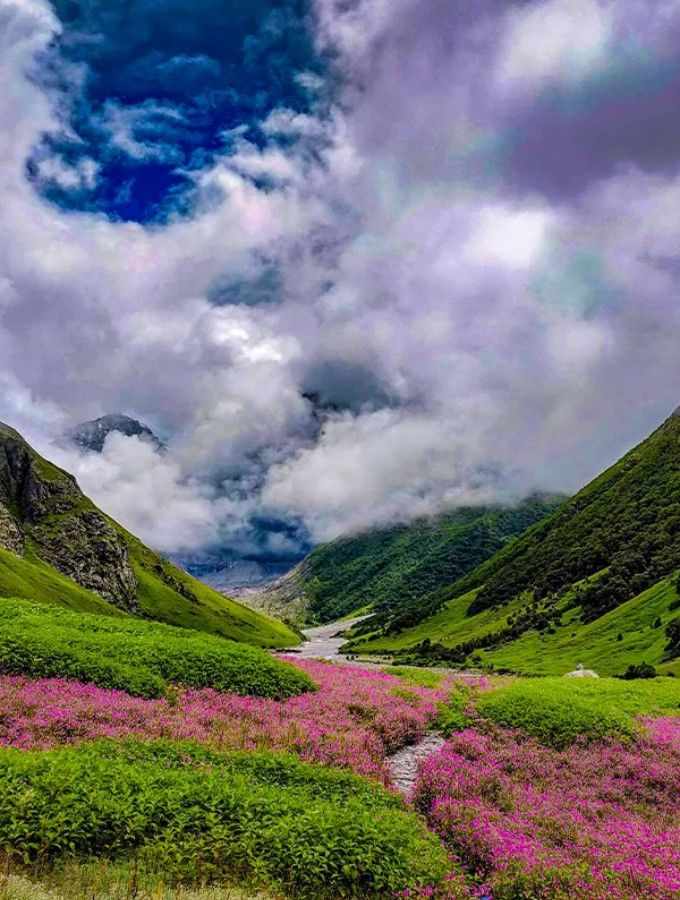 10 Reasons to Book Your Valley of Flowers Trek Group Package with Himalaya Tribe
