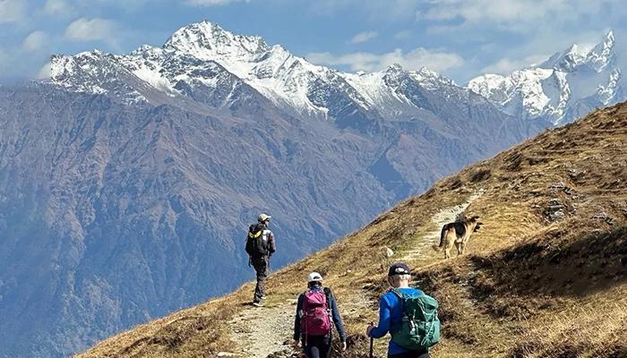 Ultimate Guide to Booking a Phulara Ridge Trek Package with Experts