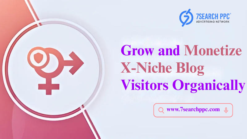 Grow and Monetize X-Niche Blog Visitors Organically