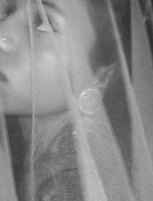 Lavendernotavailable logo