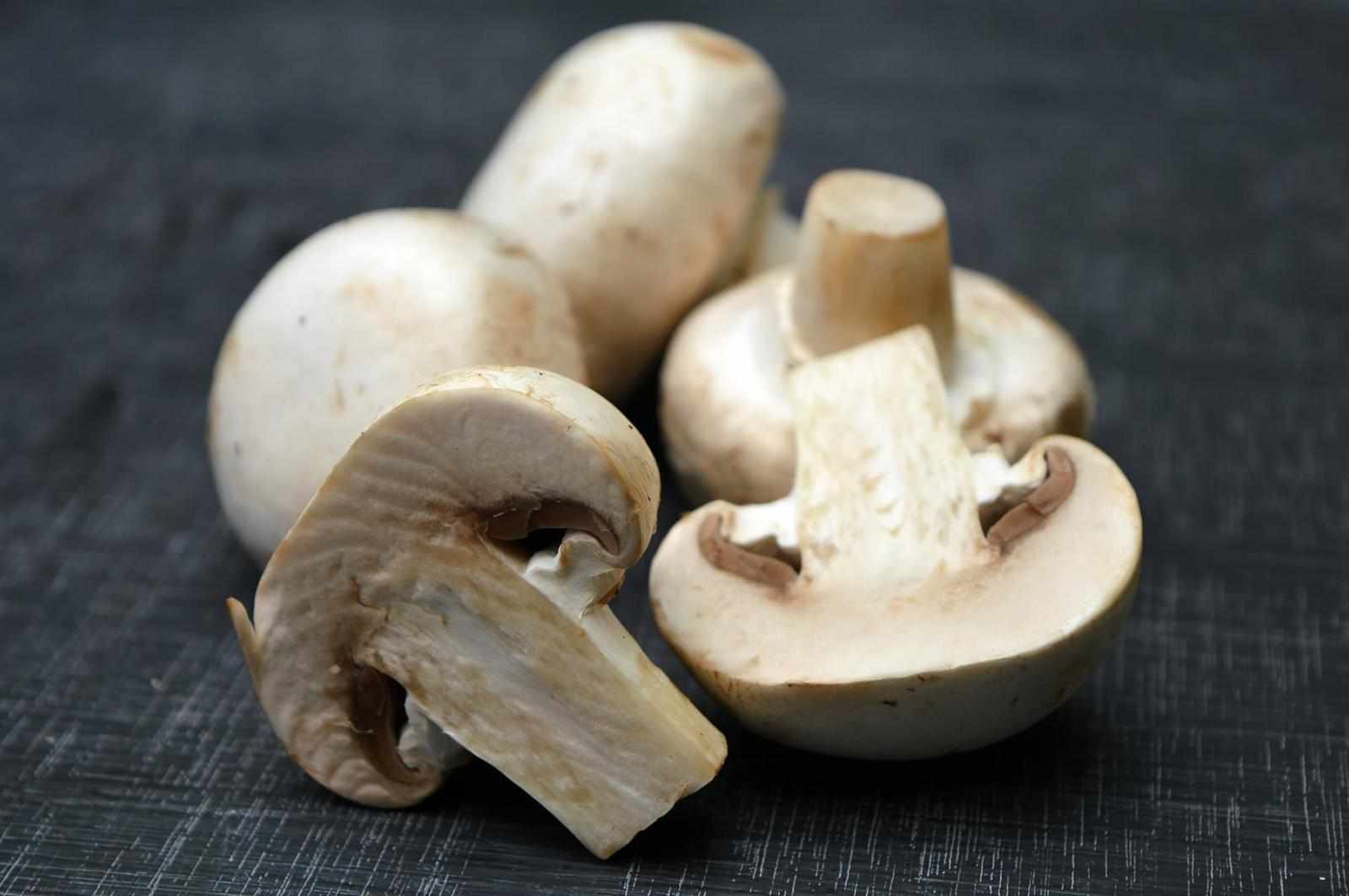 Mushrooms - Swiss Farmers