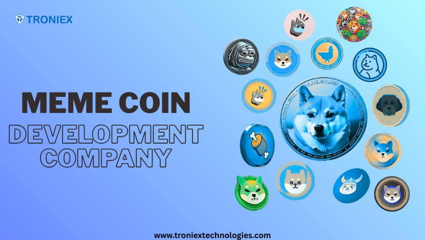 Future of Meme Coins: Development Insights for Founders in 2026