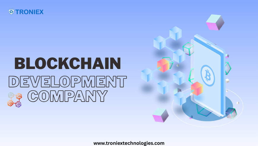 How a Blockchain Development Company Scales Startups