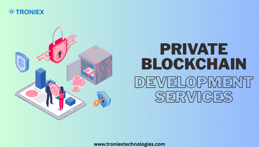 Private Blockchain Development Services for Secure Enterprises