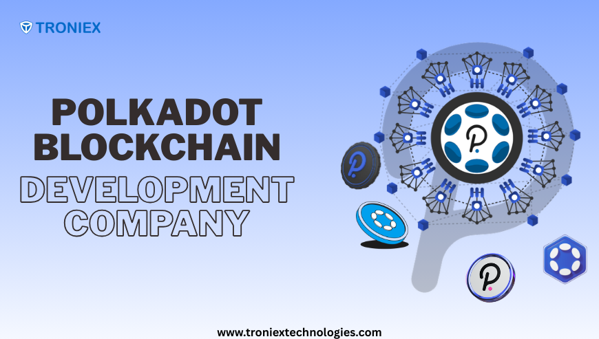 Polkadot Blockchain Development Company for Scalable Web3 Apps