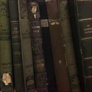 Tashvika writes logo