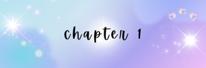 CHAPTER 1