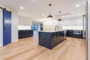 Elevate Your Home: Kitchen Remodeling Experts in Elmhurst