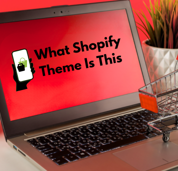 What Shopify Theme Is This