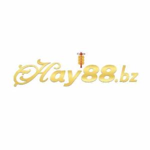 Hay88 Bz logo