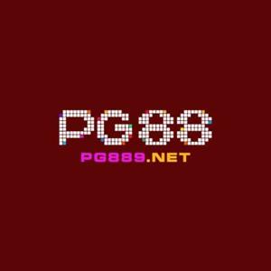 PG889 Net
