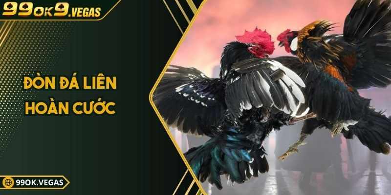 Bi Thuat Da Ga Lien Hoan – Ky Nang Chi Ga Chien Thuc Thu Moi Co