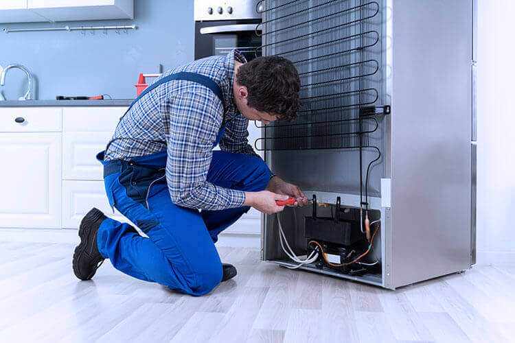 Decoding Your Fridge's Distress Signals: A Guide to Diagnosing a Refrigerator Not Cooling