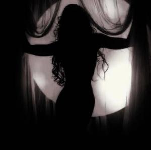 ◦•●◉✿sʜɪᴠɪ✿◉●•◦ logo