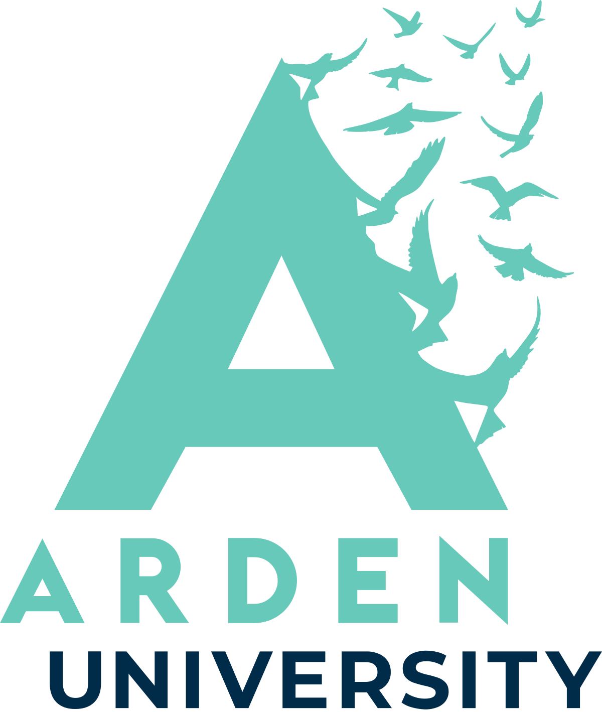 Accelerate Your Career with an Online MBA from Arden University